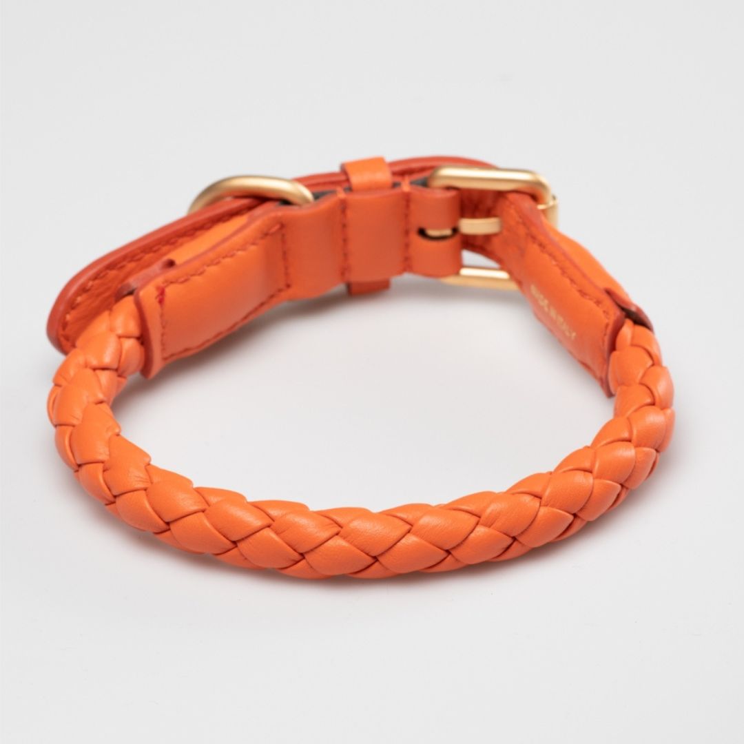 2.8-duepuntootto-hundehalsband-ferdinando-leather-collar-tangerine-orange-Rückseite