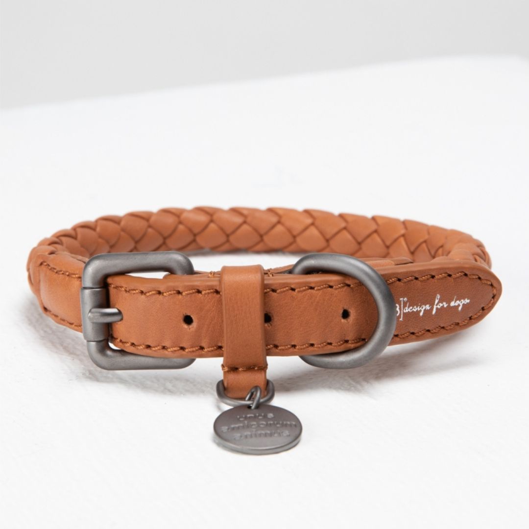 2.8-design-for-dogs-duepuntootto-Hundehalsband-Ferdinando-Dromedary-Detail