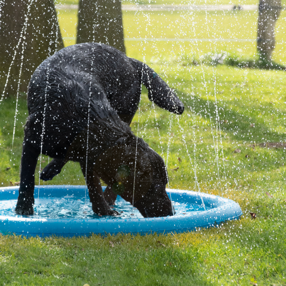 Splash Pool Springbrunnen