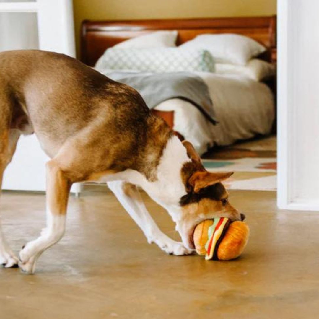 P.L.A.Y.-Hundespielzeug-Barky-Burger-Hund