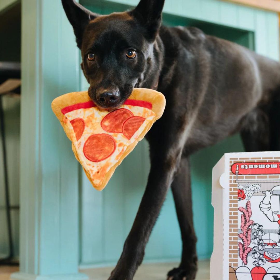 P.L.A.Y.-Hundespielzeug-Puppy-roni-Pizza-Mood