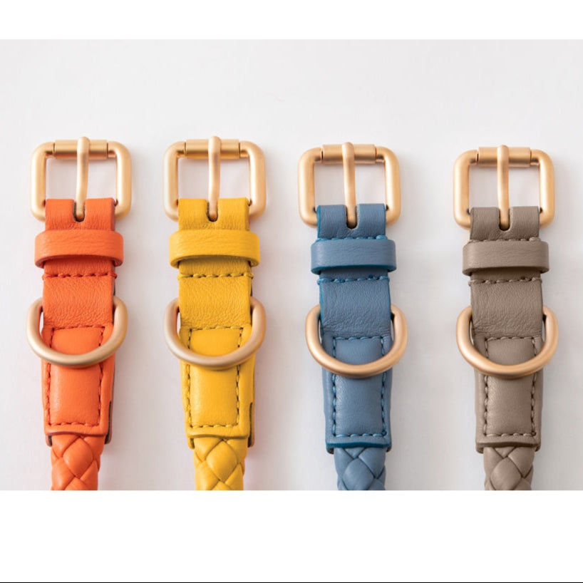 2.8-duepuntootto-ferdinando-leather-collar-hundehalsband-dusty-blue-leine-bunt