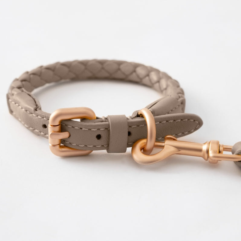 2.8-duepuntootto-Hundehalsband-FERDINANDO-Collar-Lazy-Taupe-Leine