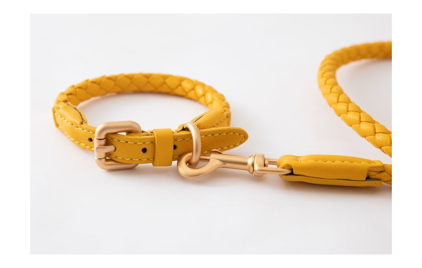 2.8-duepuntootto-ferdinando-leather-collar-hundehalsband-tuscan-yellow-Leine