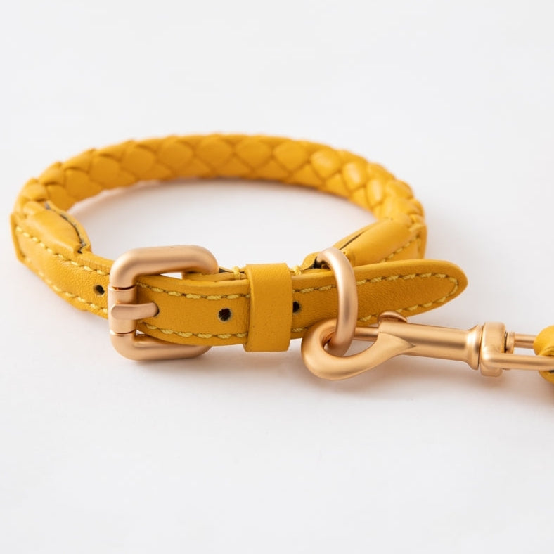 2.8-duepuntootto-ferdinando-leather-collar-hundehalsband-tuscan-yellow-Leine