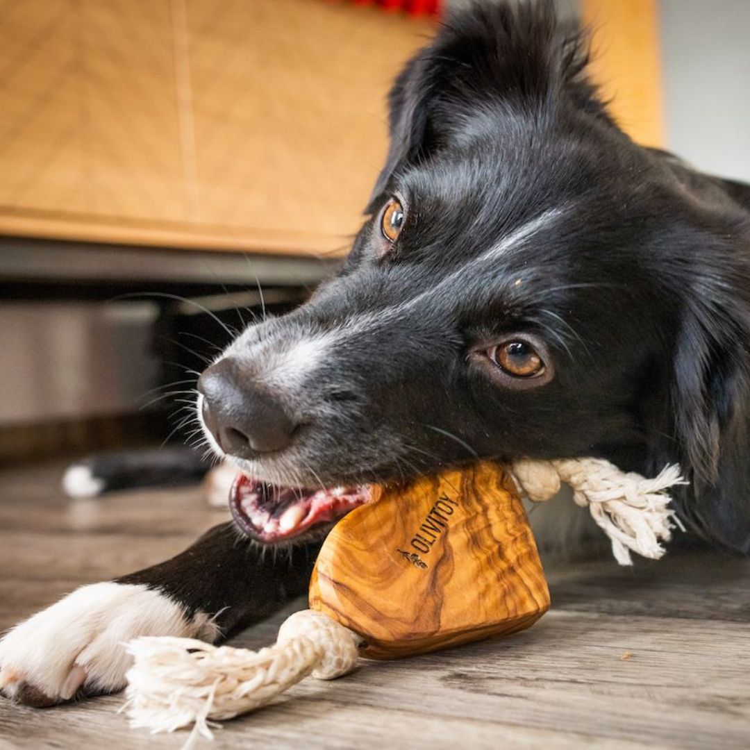 Wolters-Hundespielzeug-Olivi-Tauspielzeug-Herz