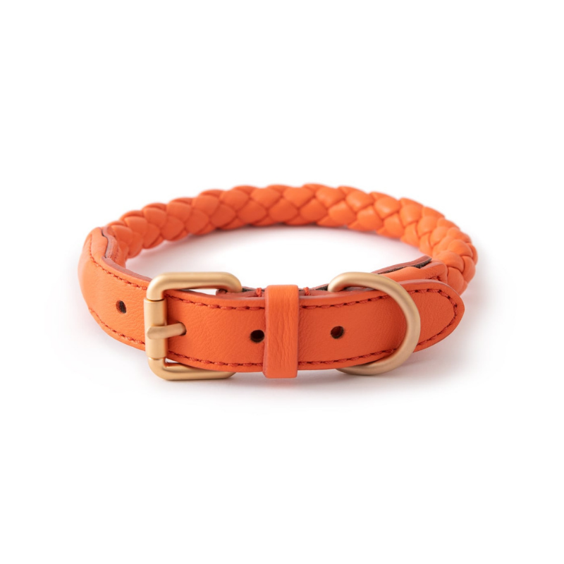 2.8-duepuntootto-hundehalsband-ferdinando-leather-collar-tangerine-orange