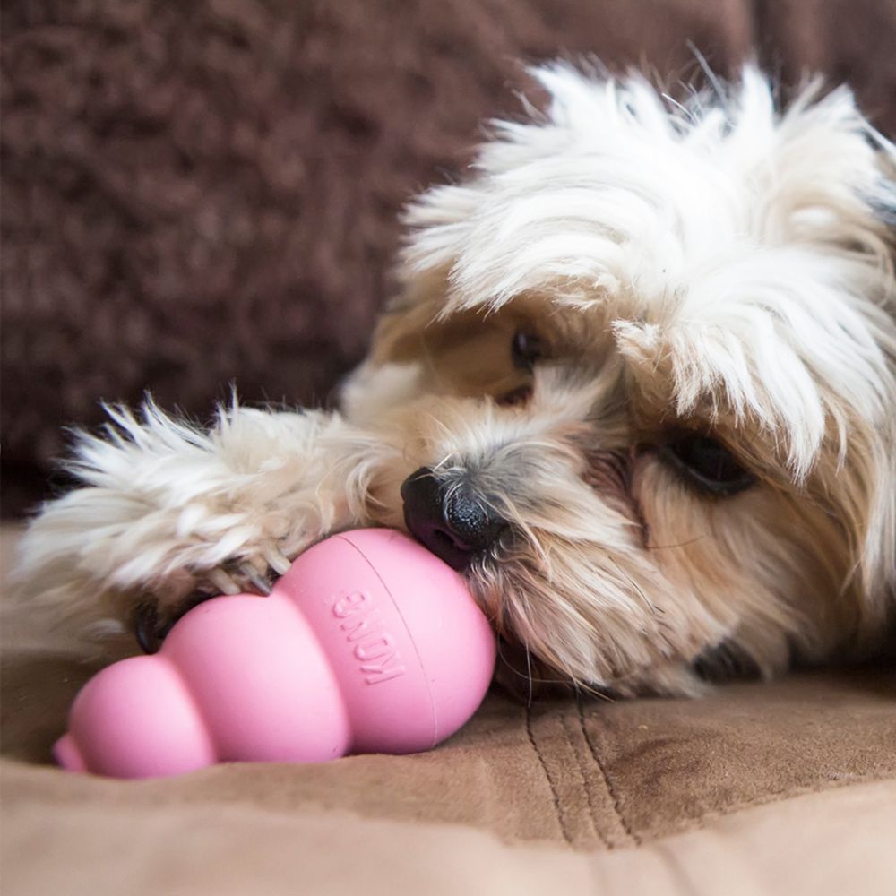 Kong-Puppy-Welpenspielzeug-Rosa-schlecken