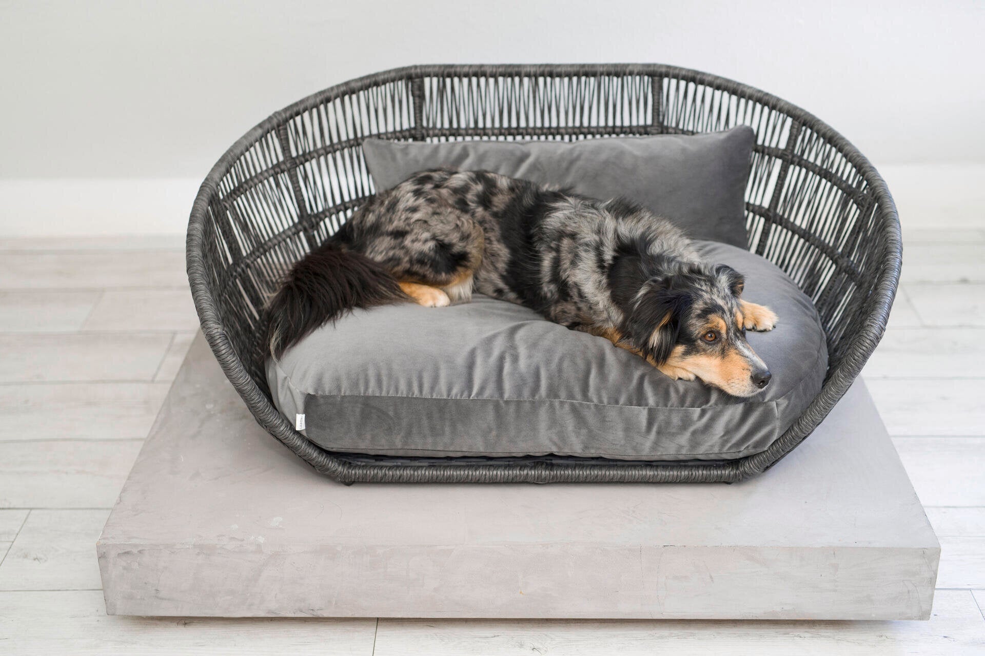 Laboni-Hundebett-Prado-Oxford-Grey-Hund