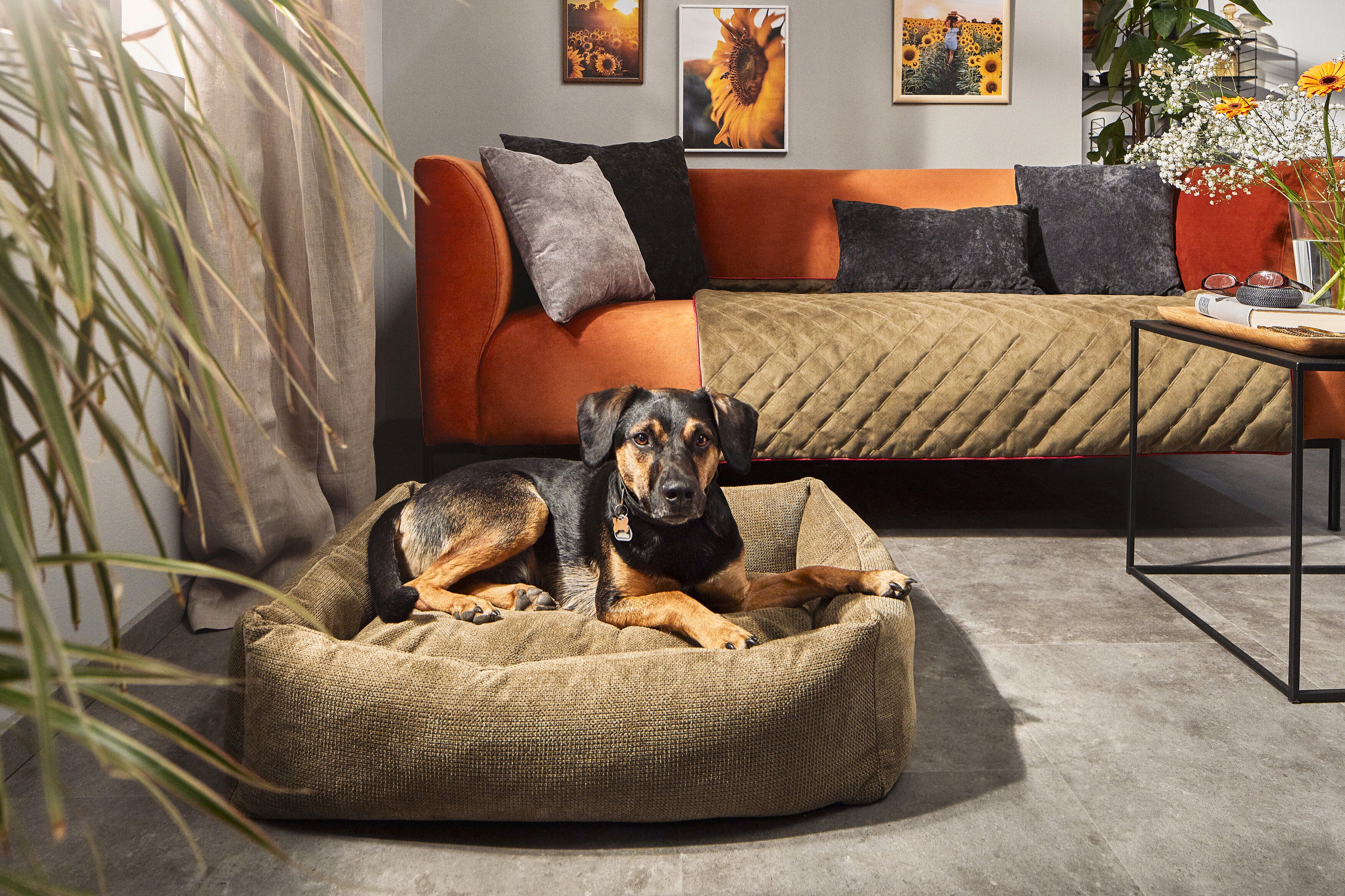 Laboni-Classic-Hundebett-Tudor-Olive-Hund