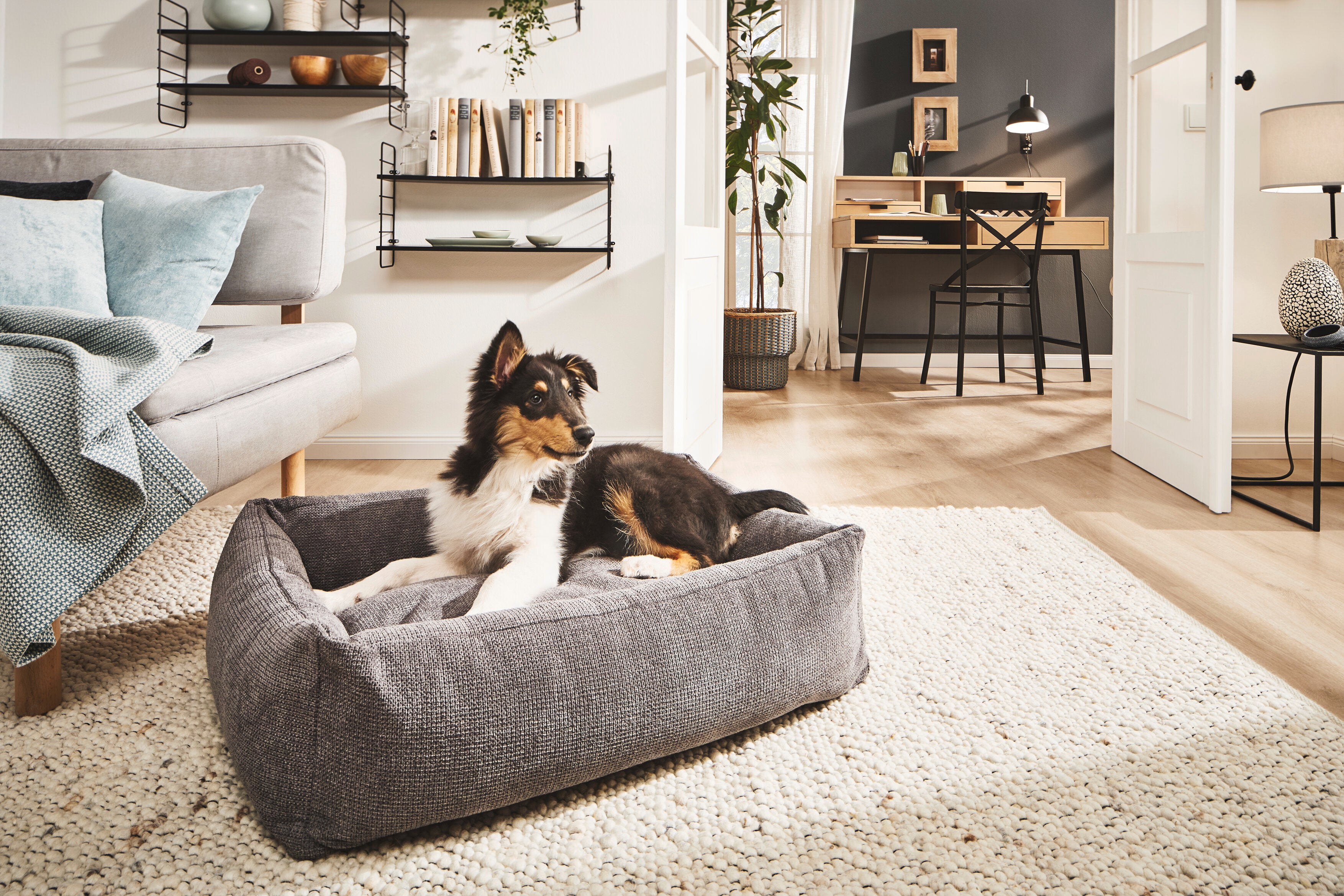 Laboni-Classic-Hundebett-Tudor-Anthrazit-Hund