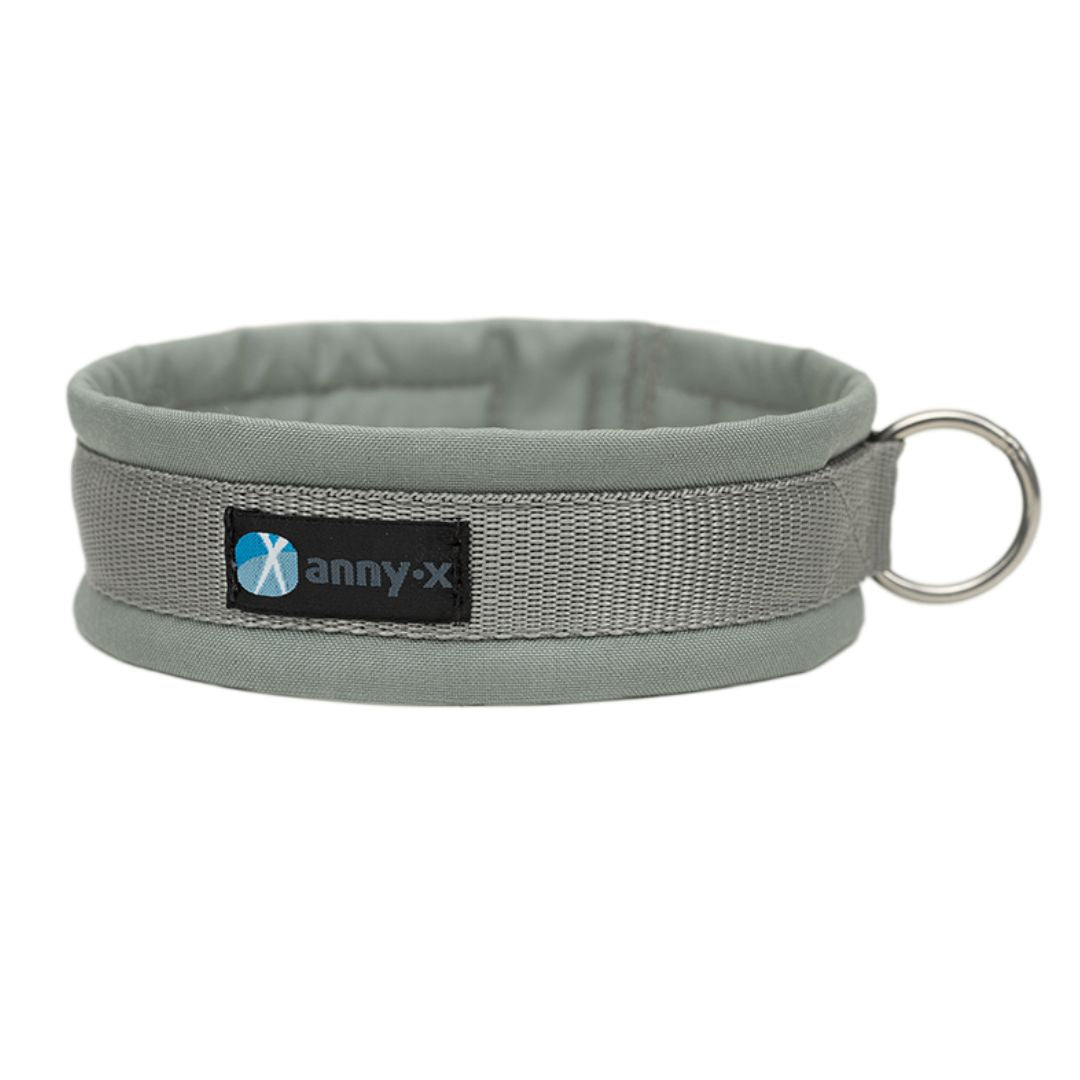 AnnyX-Hundehalsband-Fun-Grau-Silber