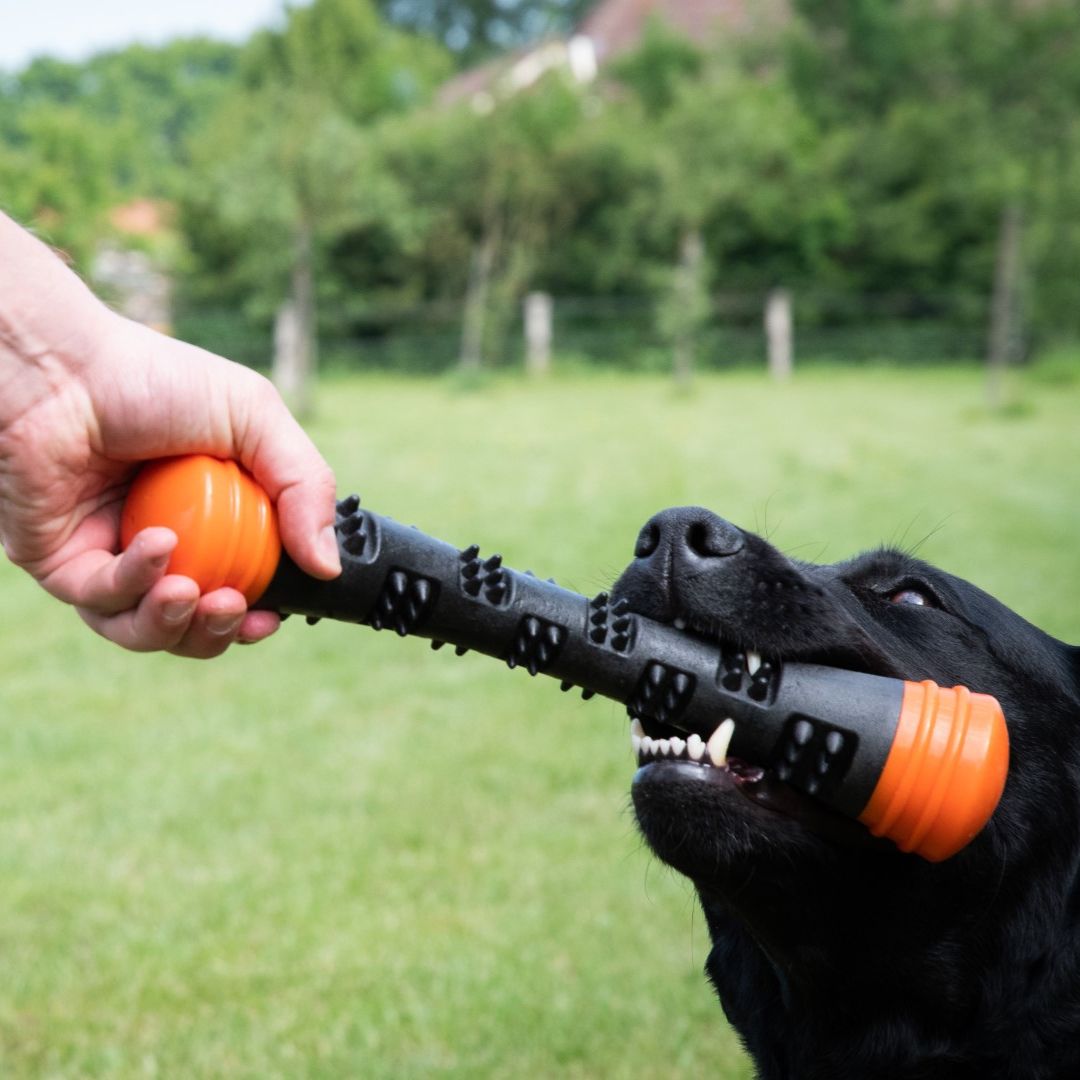 Hundespielzeug-Dog-Comets-Meteor-Wurfstock-Orange-Hund