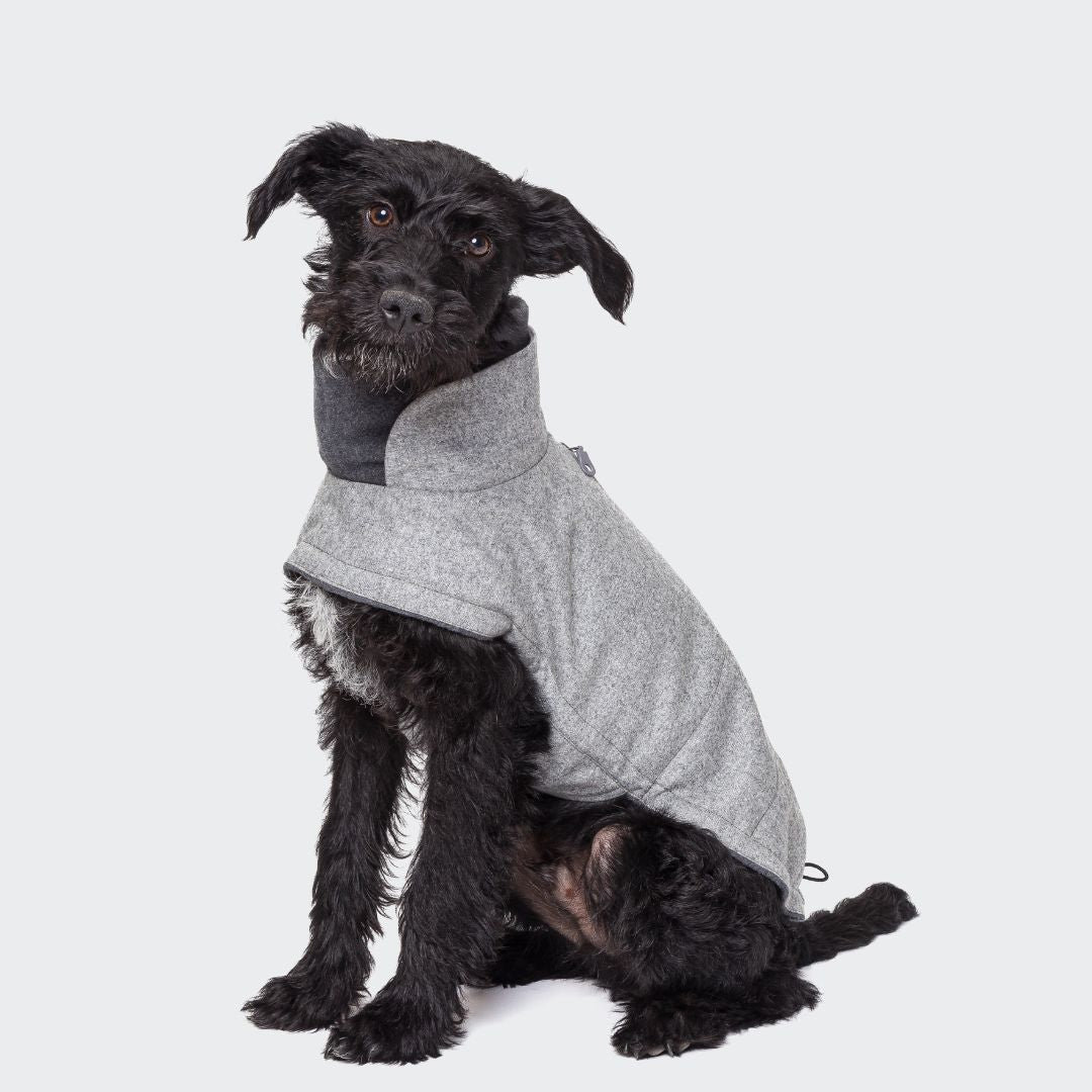 Cloud7-Dog-Coat-Brooklyn-Flannel-Grey-Hund