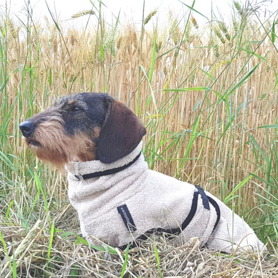 Hundebademantel-Dryup-Cape-Dackel-Sand