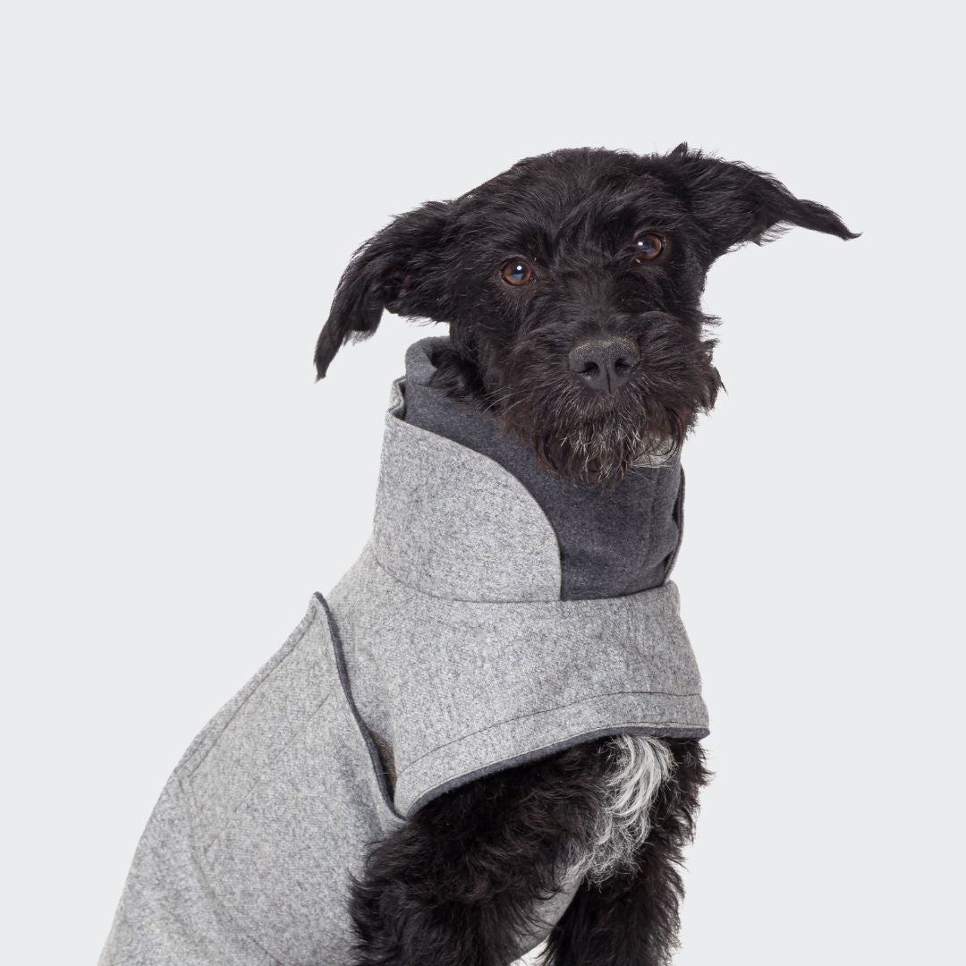 Cloud7-Dog-Coat-Brooklyn-Flannel-Grey-Hund3