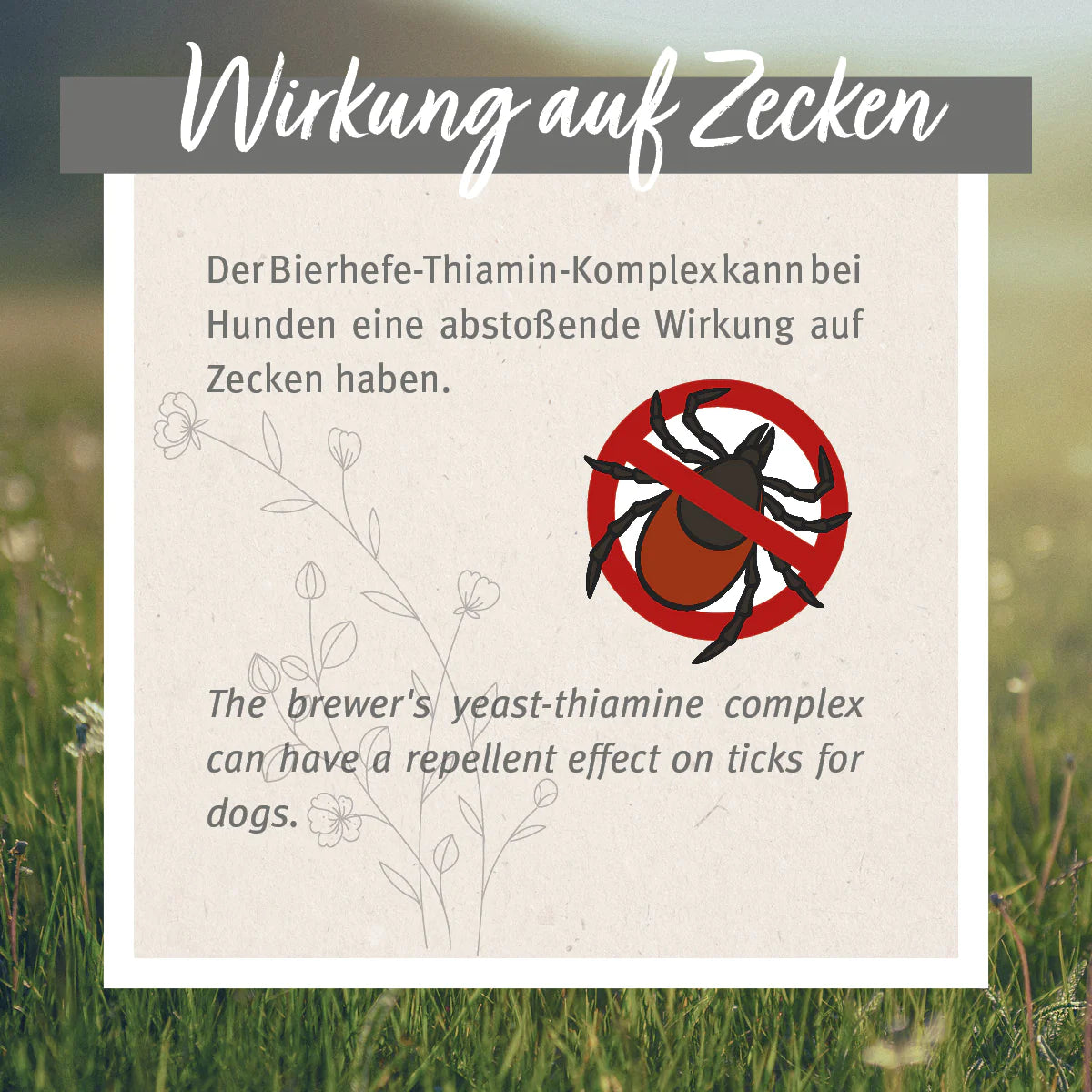 ZeckenSchild Kapseln für mittelgroße Hunde 10-35 kg