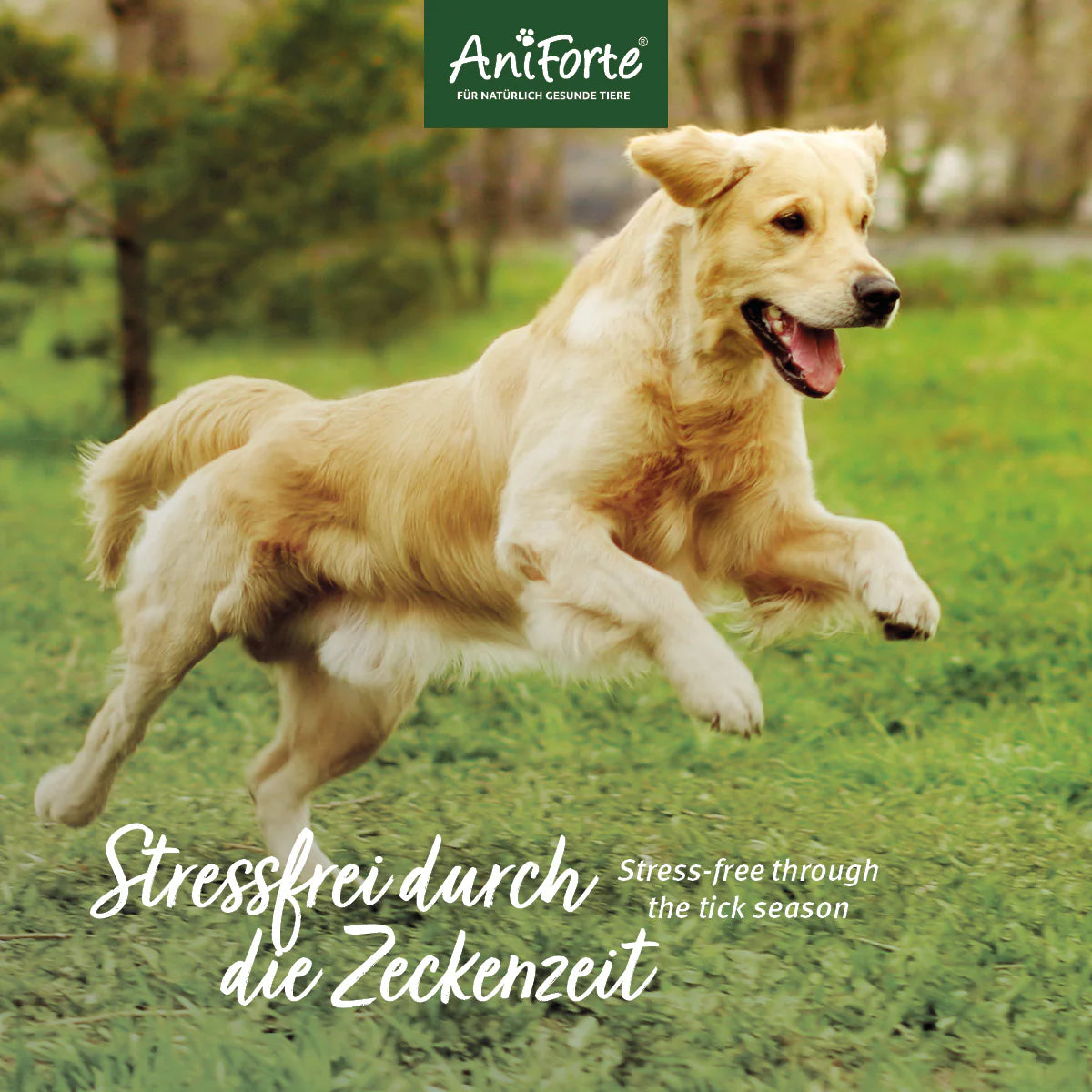 ZeckenSchild Kapseln für mittelgroße Hunde 10-35 kg