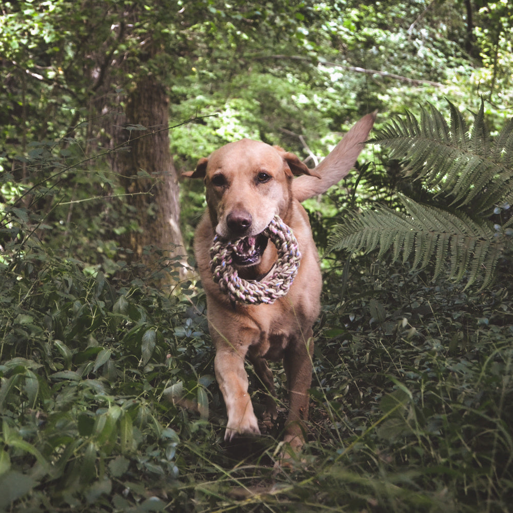 Beco_Pets_Hemp_Hanf_Ring_