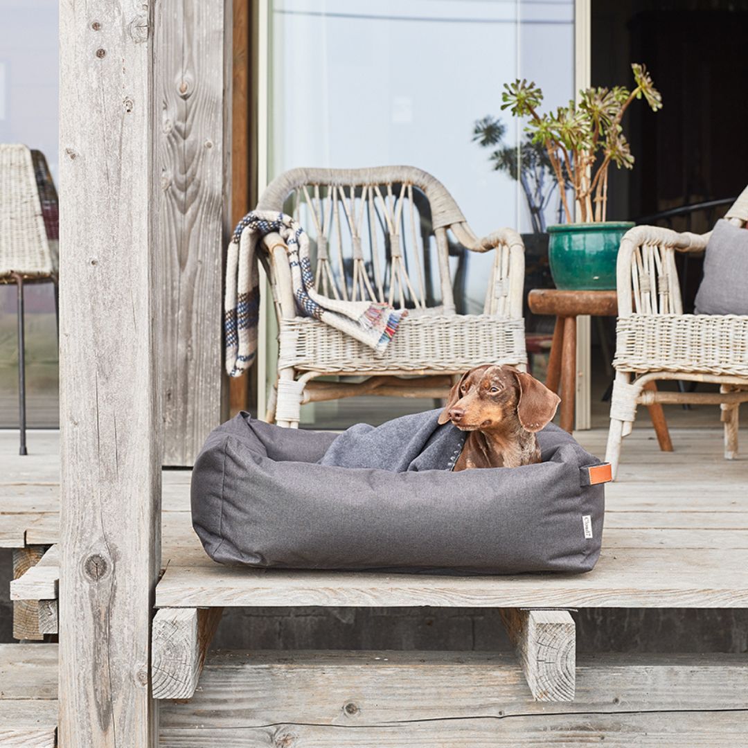 Hundebett Sleepy Graphit Outdoor