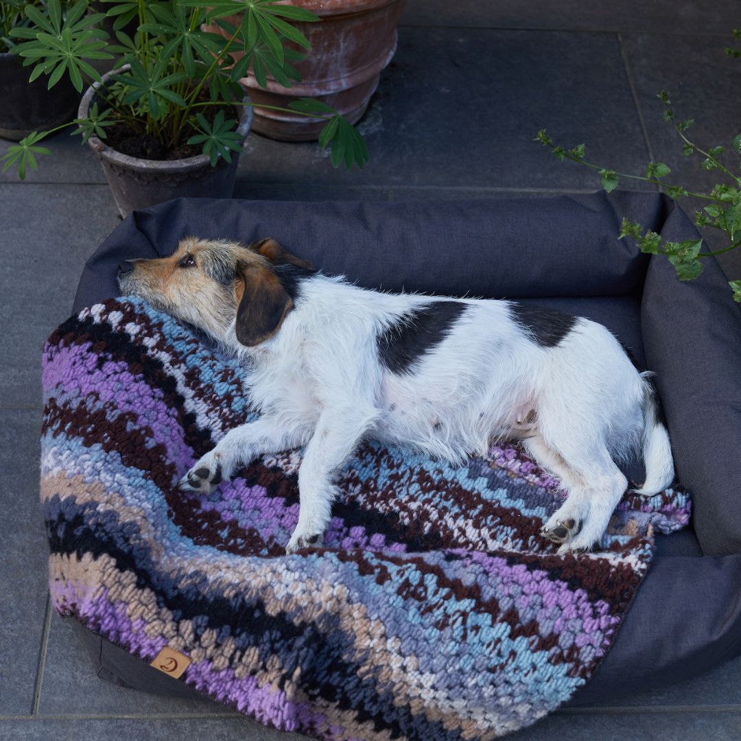 Hundebett Sleepy Graphit Outdoor