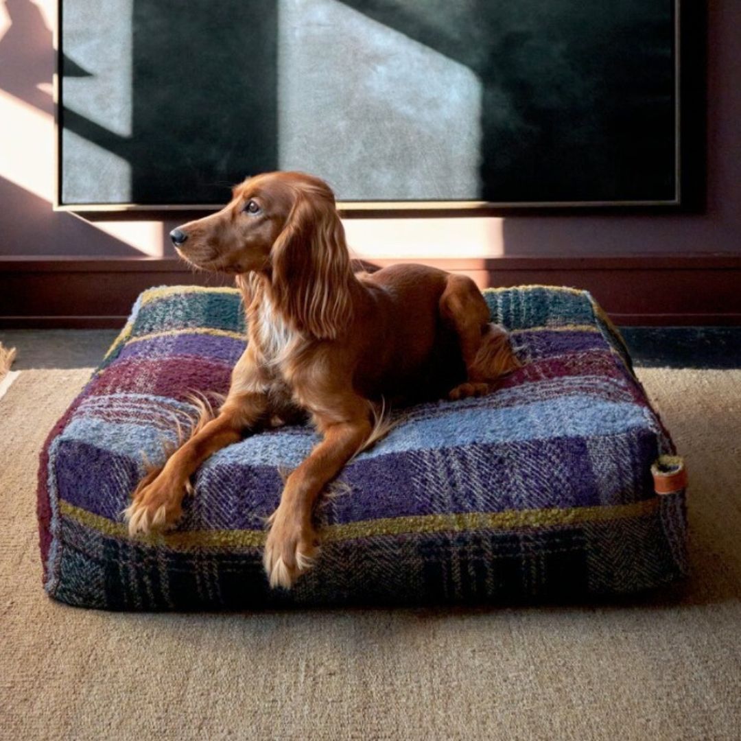 Hundebett Cube Tartan Purple