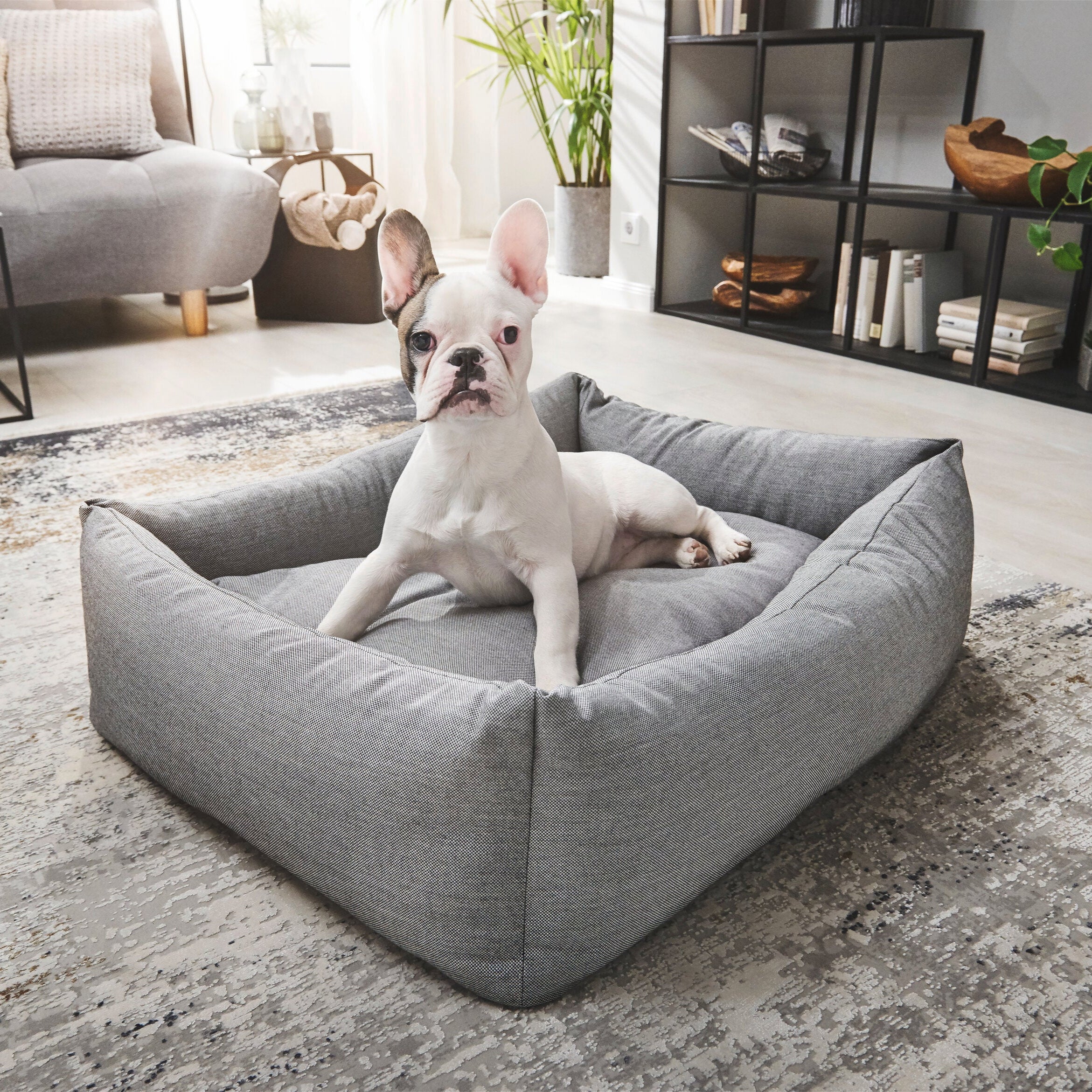 Classic-Hundebett-Smooth-Laboni-Black-Silk-Hund2
