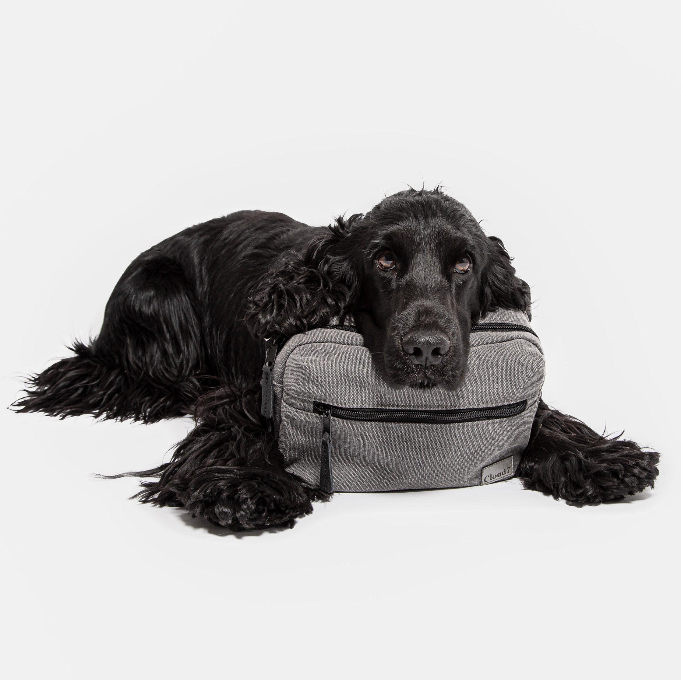 Cloud7-Belt-Bag-Leather-Graphite-Dog