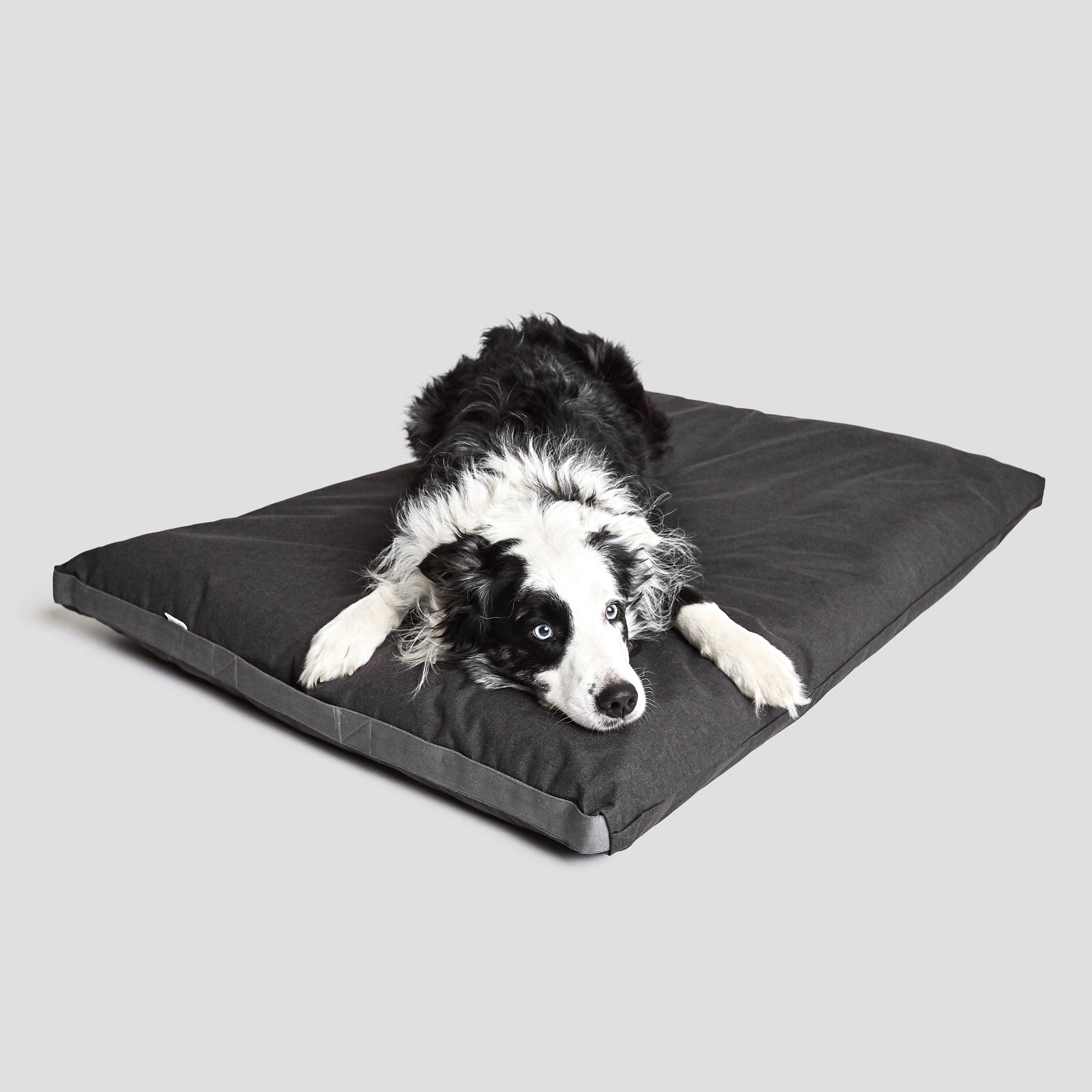 Cloud7-Hundebett-Hundekissen-Siesta-Graphit-Waterproof-Hund