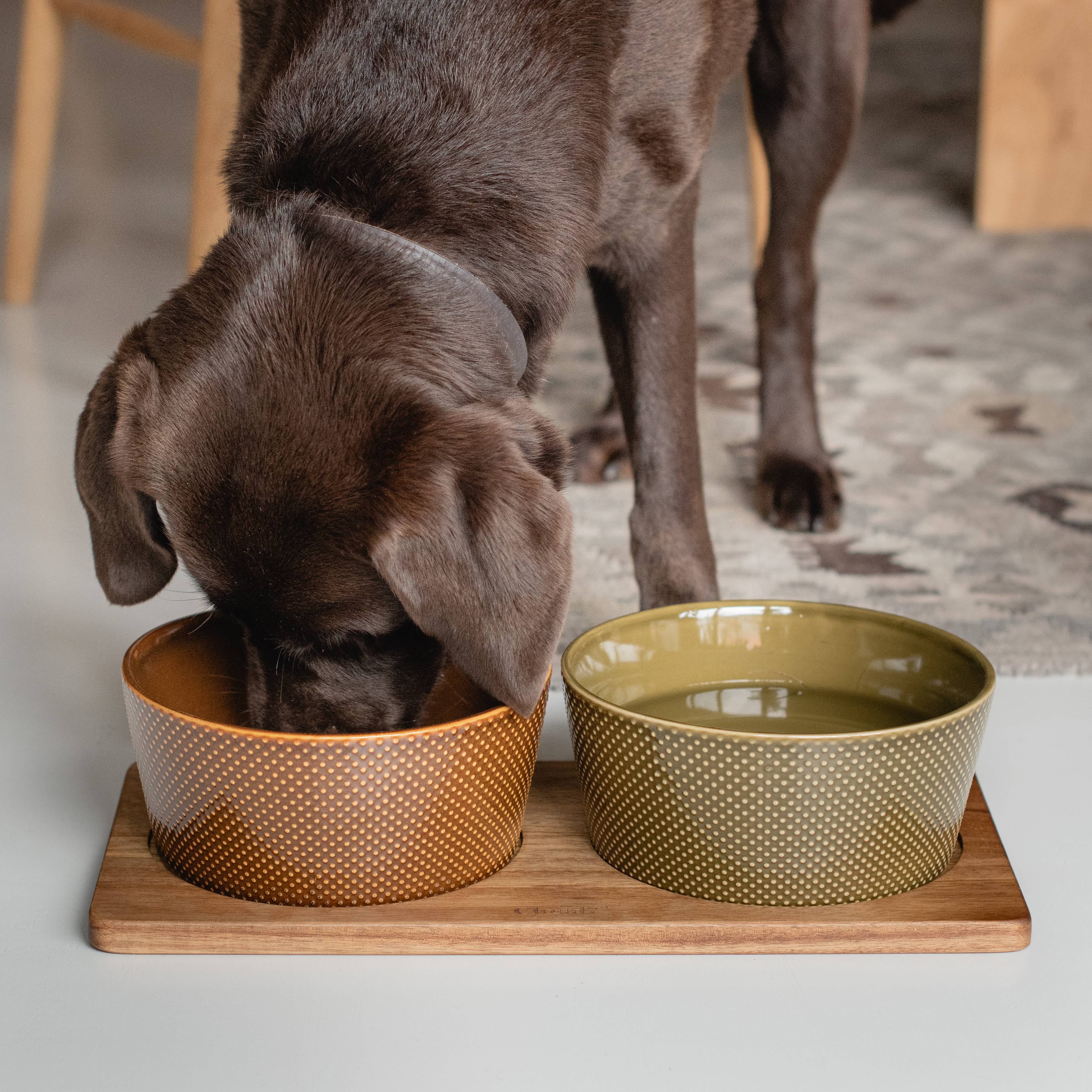 Cloud7-Dog-Bowl-Alain-Avocado-Cinnamon-Set