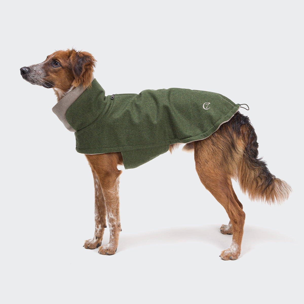 cloud7-hundemantel-brooklyn-flanell-fern-green-Hund2