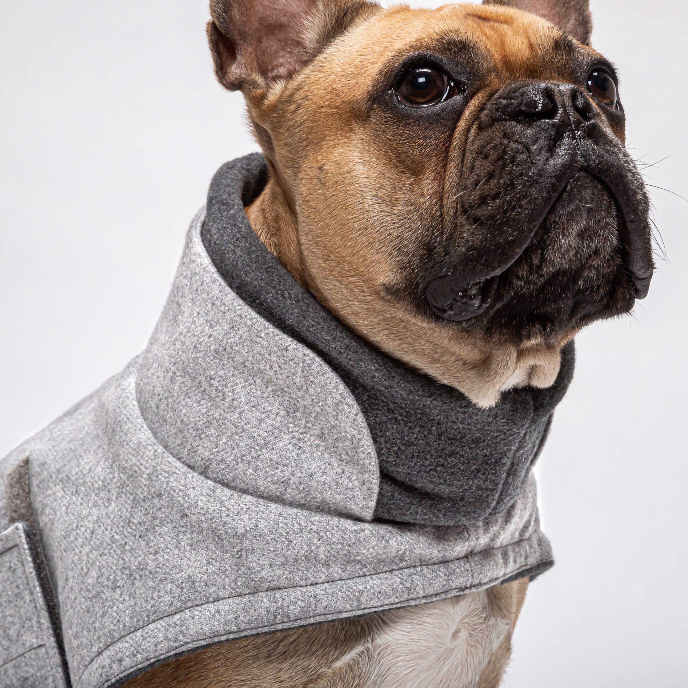 Hundemantel Brooklyn FR. BULLDOGGE Flanell Grey