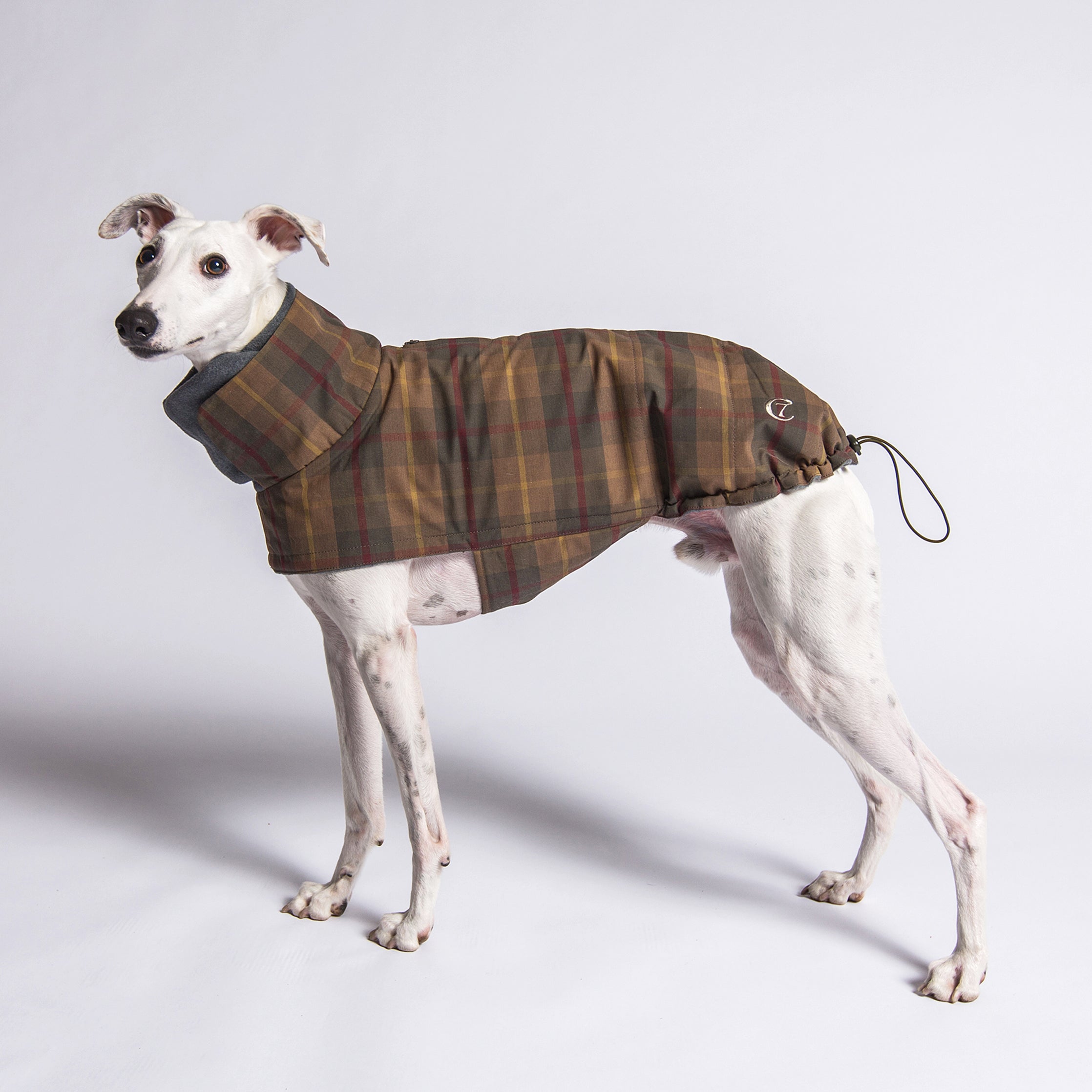 Cloud7-Hundemantel-Brooklyn-Waxed-Tartan-Hund-stehend