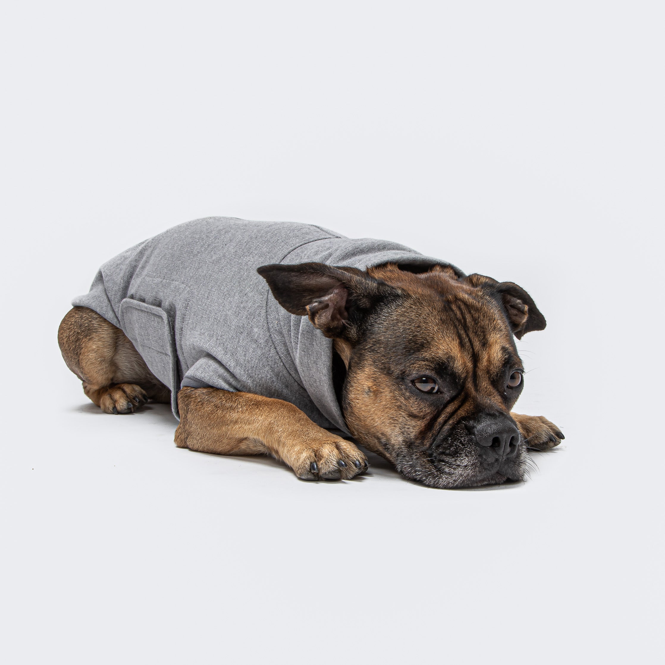 Cloud7-Dog-Sweater-Dorset-Melange-Grey.-Dog-2