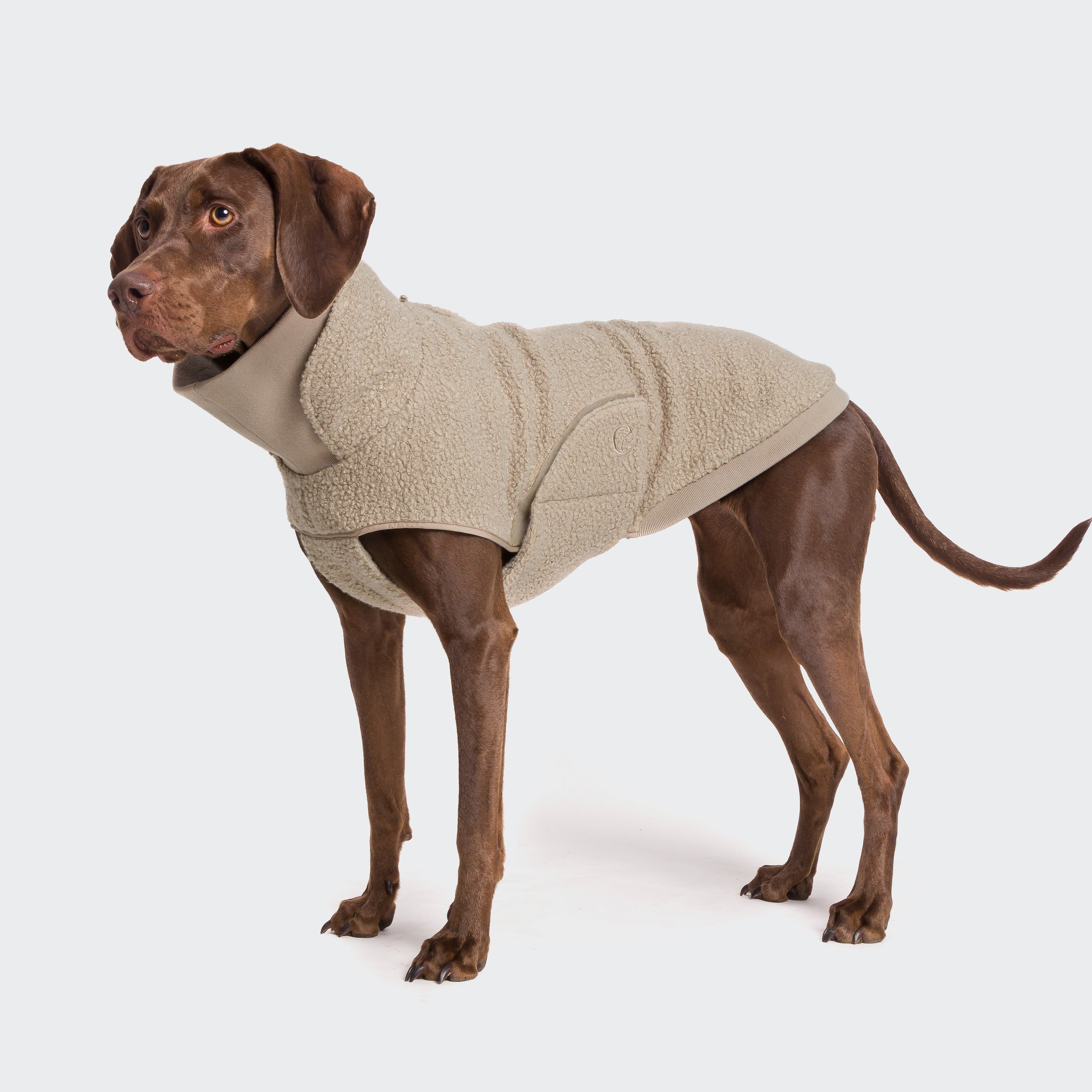 Cloud7-Hundepullover-Gotland-Beige-Hund