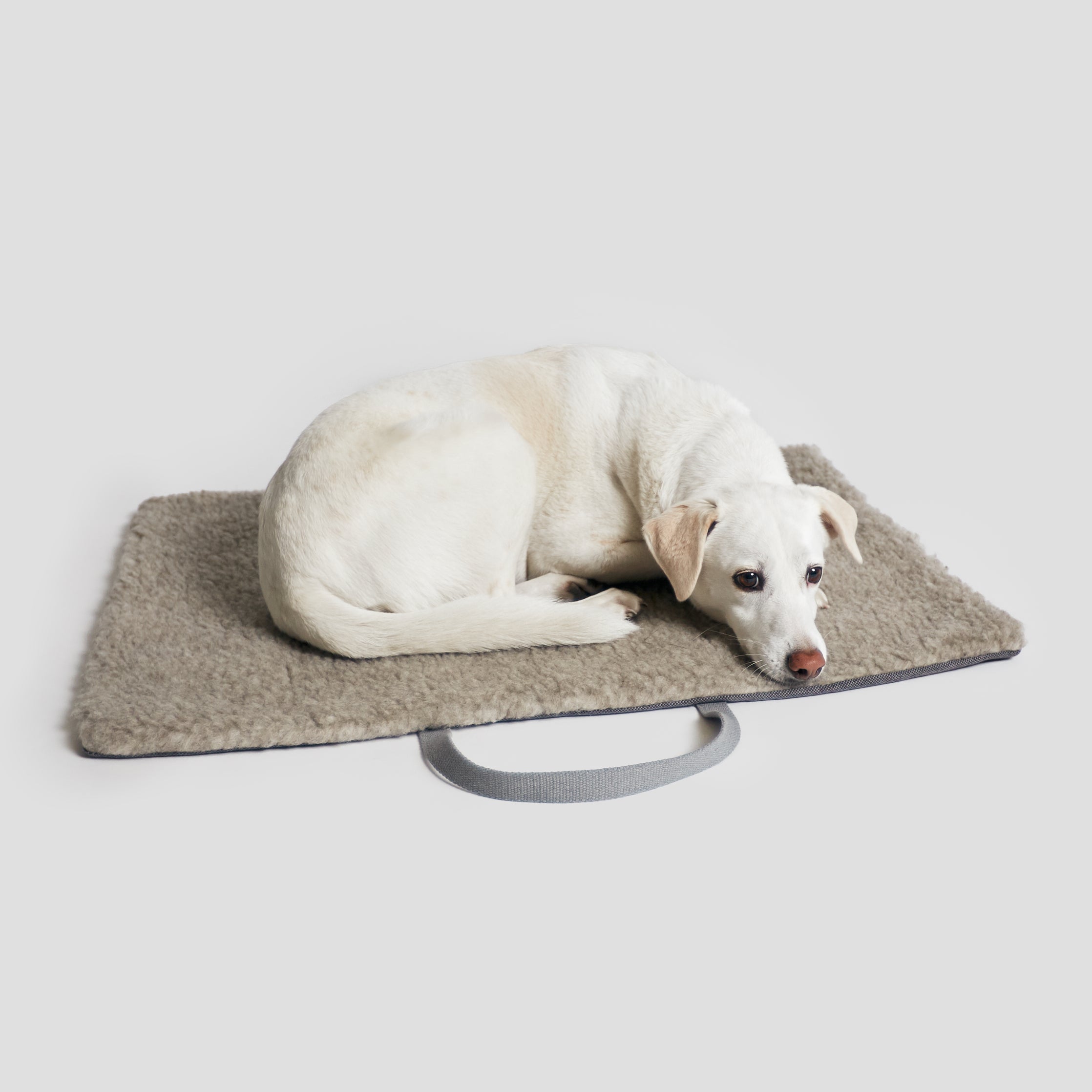 Cloud7-Dog-Travel-Bed-Tweed-Taupe-Dog-2