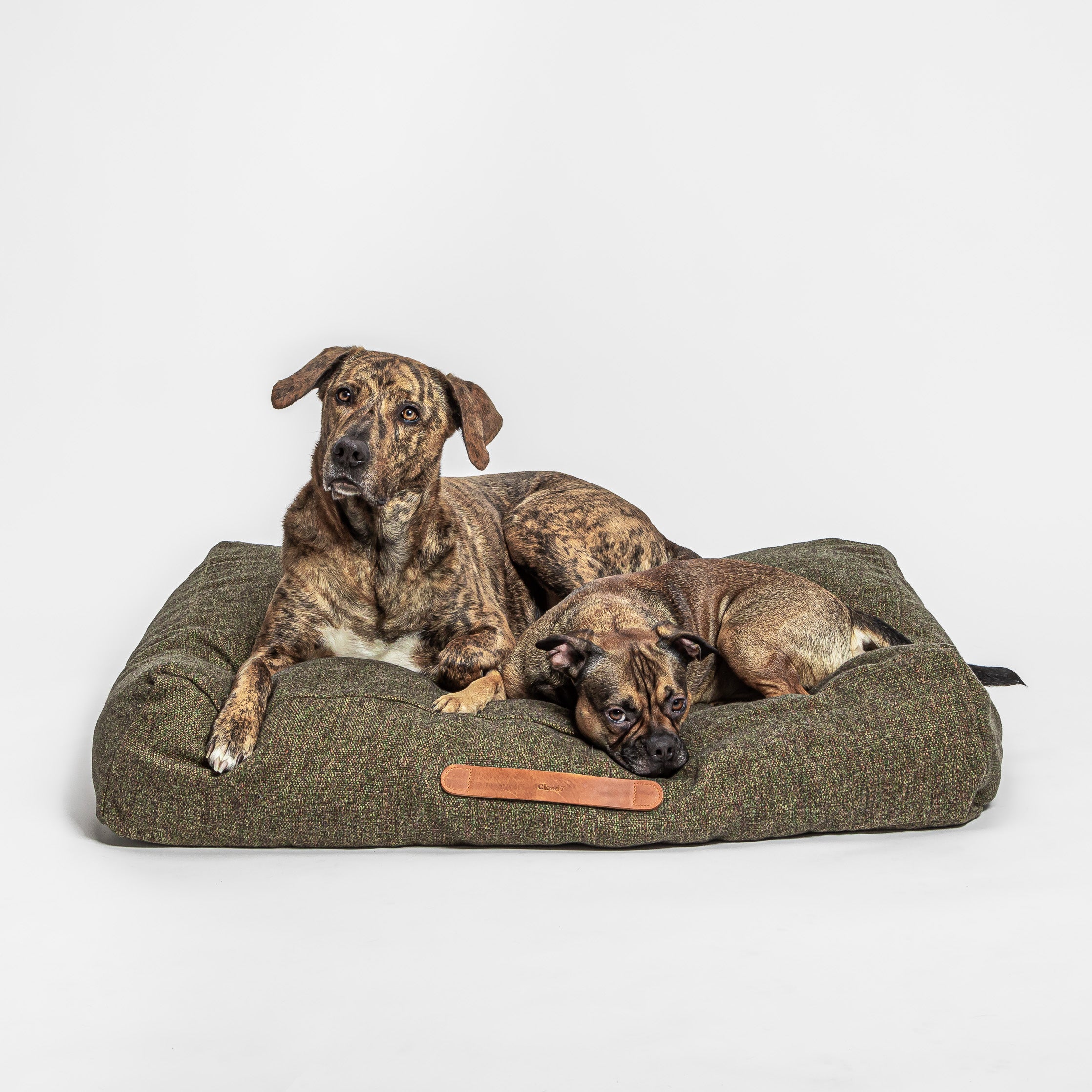 Hundebett Homey Mélange Olive