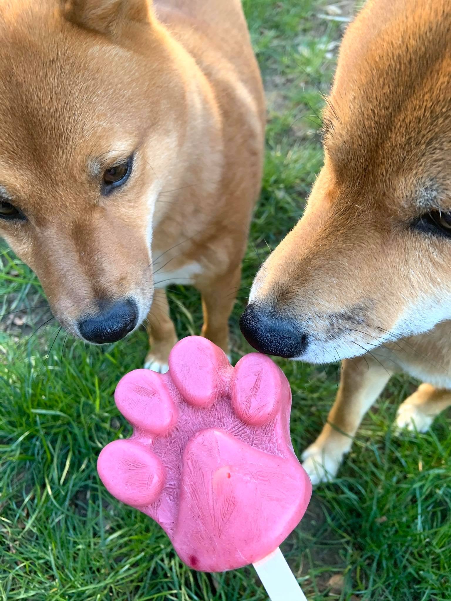 ICE-BUDDY-Pfotenform-Silikon-Hundeeis-Hunde