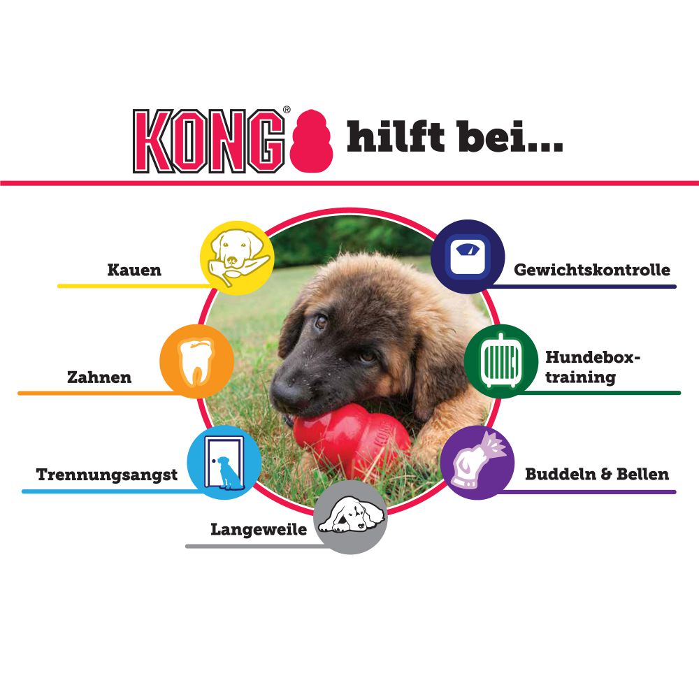 Kong-Puppy-Welpenspielzeug-Rosa-Hellblau-Anwendung