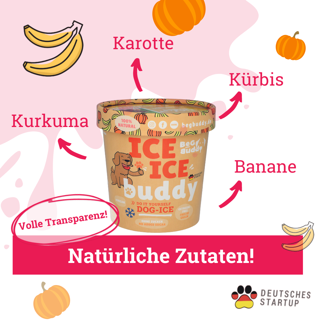 Hundeeis-Ice-Ice-Buddy-BeGBuddy-Kürbis-Banane-Zutaten