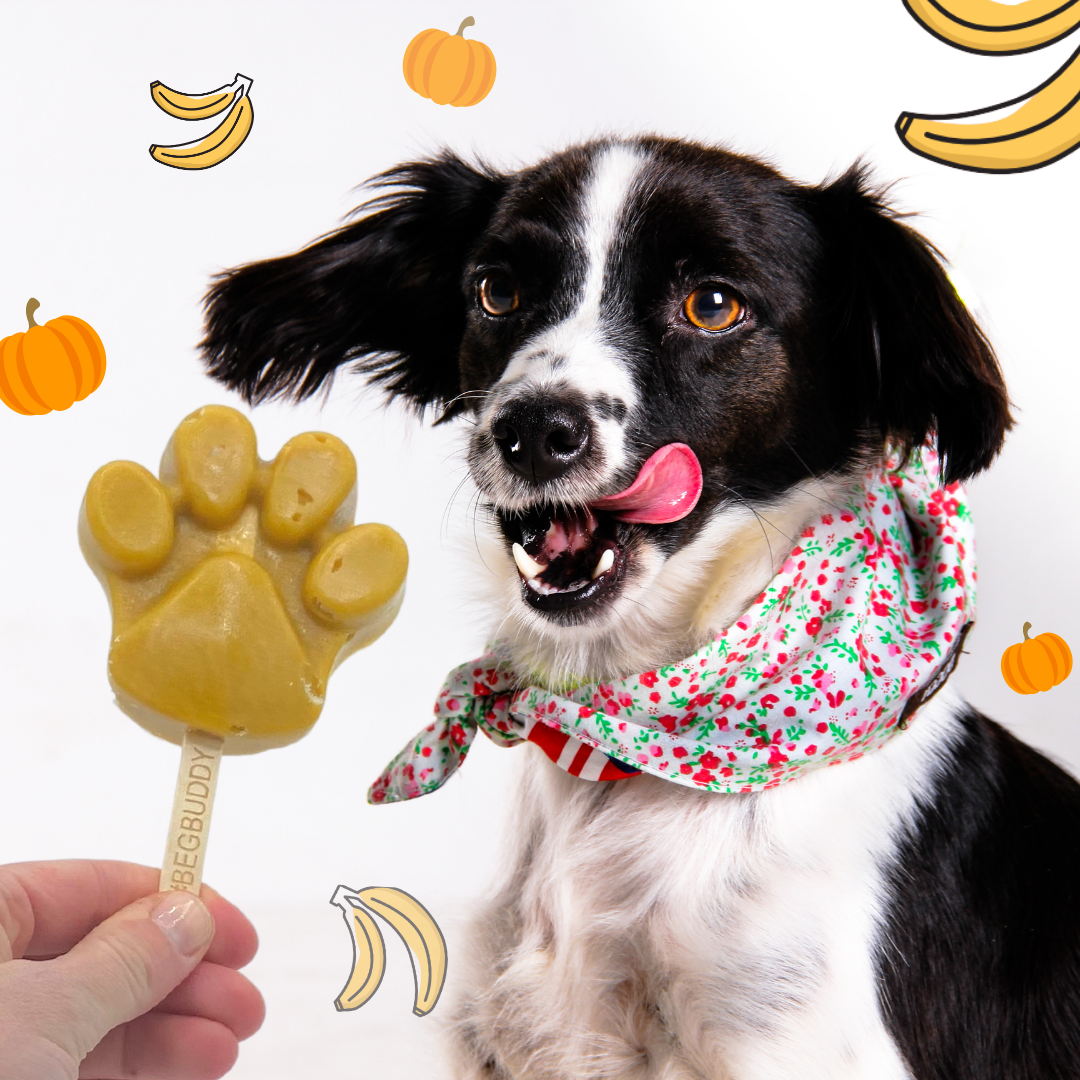 Hundeeis-Ice-Ice-Buddy-BeGBuddy-Kürbis-Banane-Hund