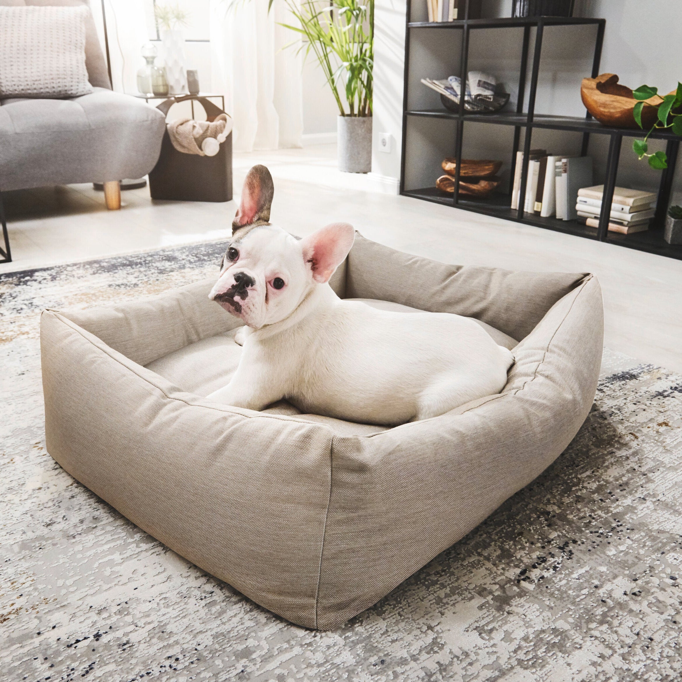 Laboni-Classic-Hundebett-Smooth-Lino-Mood4