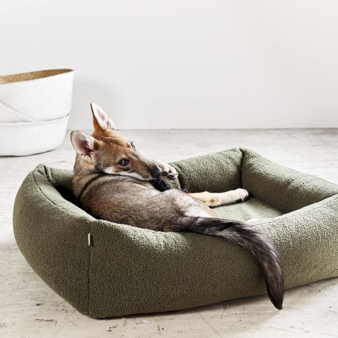 Laboni-Hundebett-Teddy-Boucle-Green-Hund