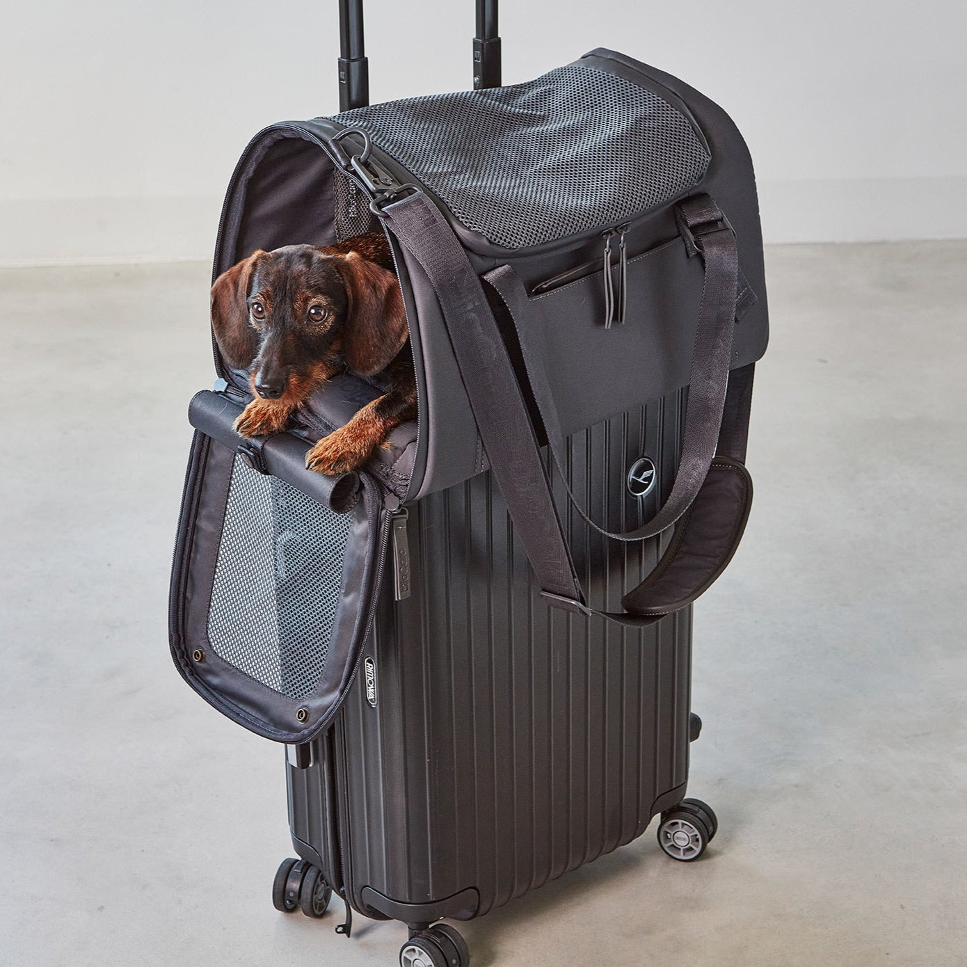 MiaCara-Flugreisetasche-Volata-Asphalt-Koffer