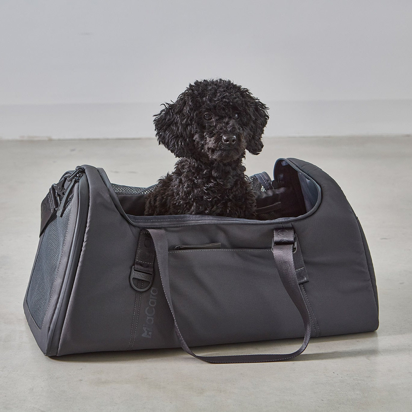 MiaCara-Flugreisetasche-Volata-Asphalt-Hund2