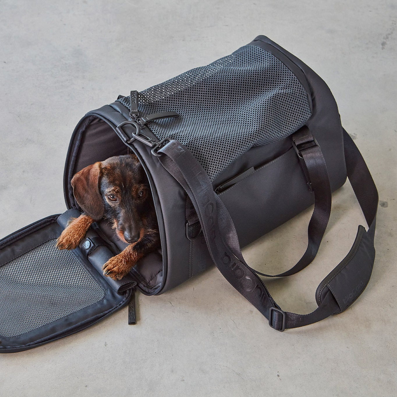 MiaCara-Flugreisetasche-Volata-Asphalt-Hund4
