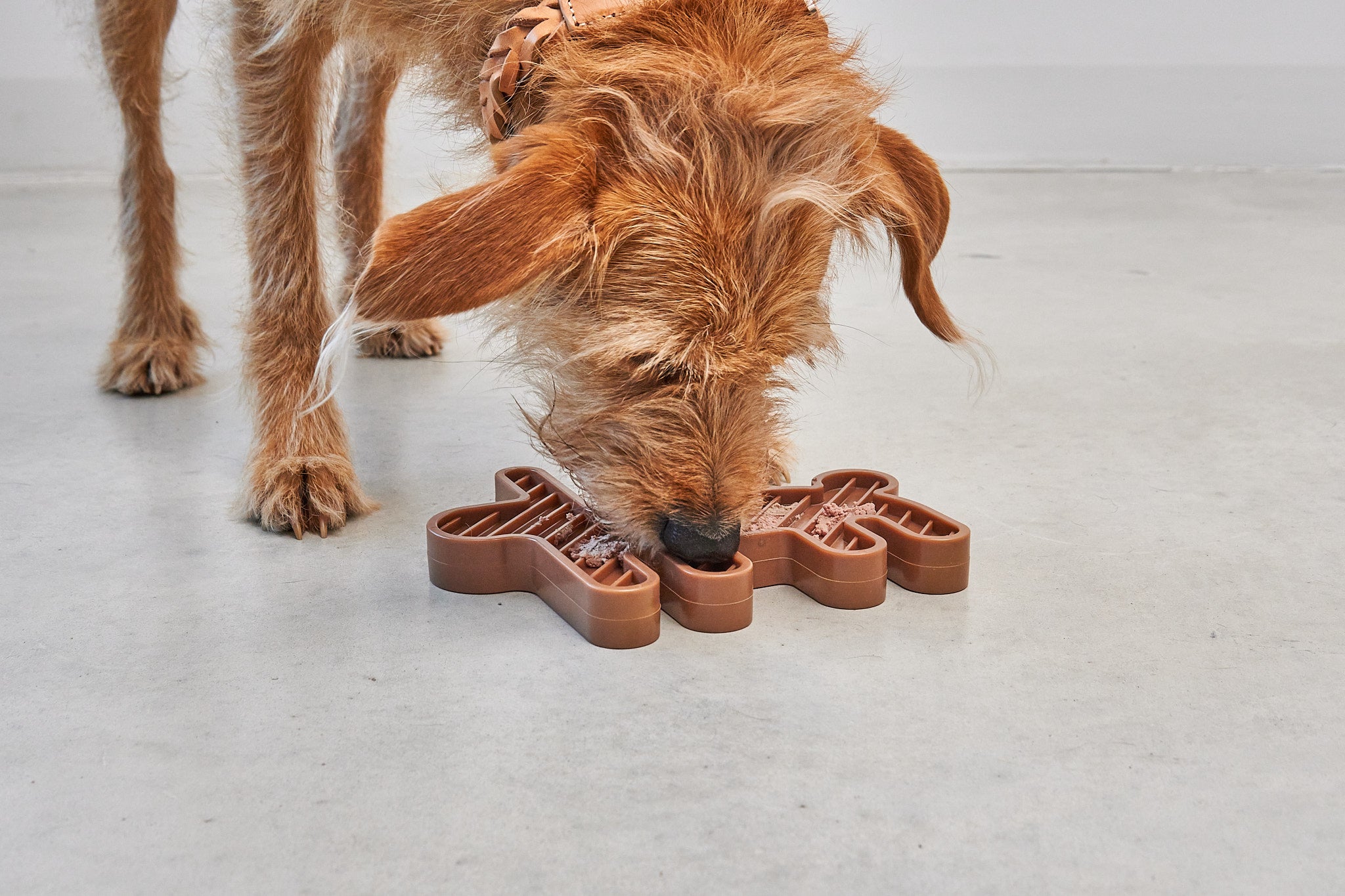 MiaCara-Hundespielzeug-Schleckmatte-Lepre-Hase-Sandelholz-Hund