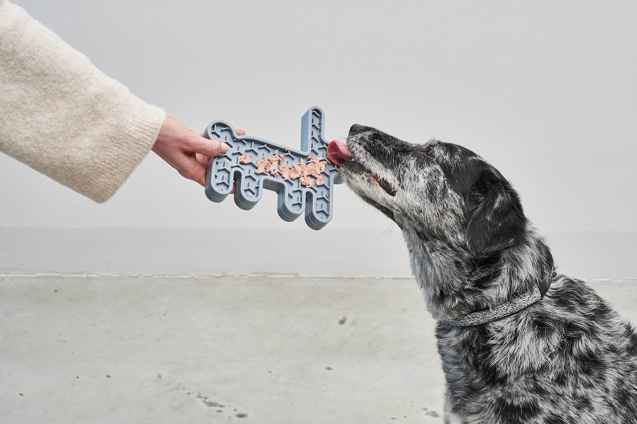 MiaCara-Hundespielzeug-Schleckmatte-Lepre-Hase-Himmel-Mood