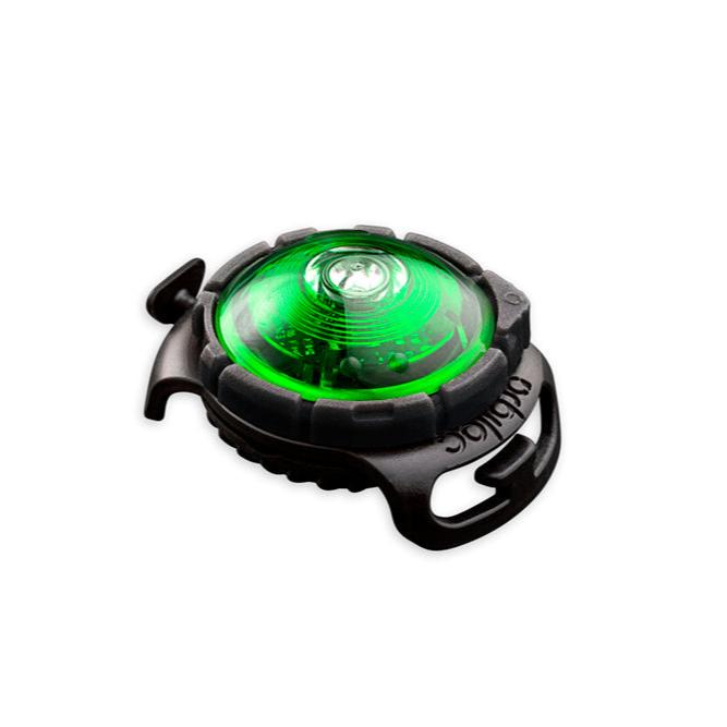 Orbiloc-Dog-Dual-Sicherheitslicht-Green