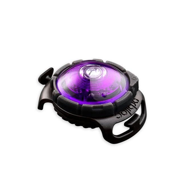 Orbiloc-Dog-Dual-Sicherheitslicht-Purple